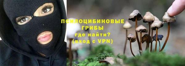 2c-b Бугульма