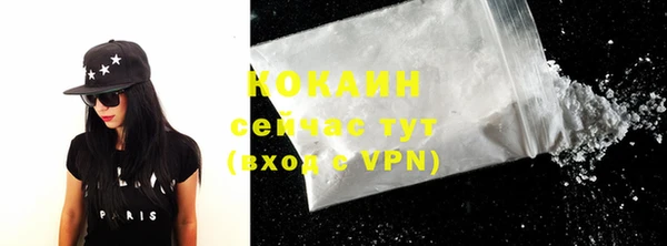 трава Бородино