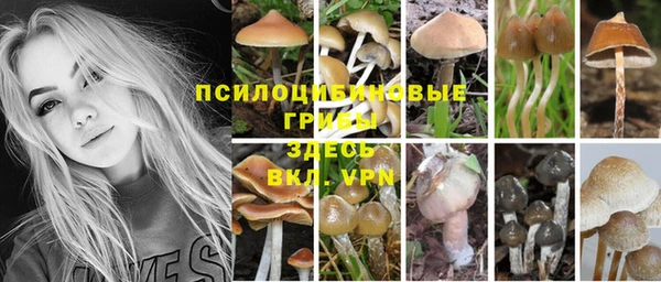 трава Бородино