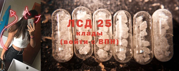 трава Бородино