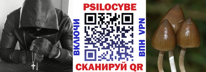 Галлюциногенные грибы Magic Shrooms  Вичуга 