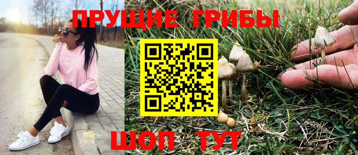 Галлюциногенные грибы прущие грибы  Вход с VPN  Вичуга  Галлюциногенные грибы прущие грибы 