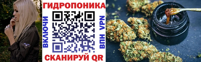 Шишки марихуана конопля Вичуга
